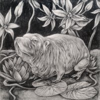 Naked rat and water lilies 20x20cm