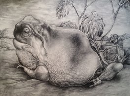 Toad, chicken and monstera 100x70 cm