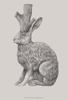 Hare with stump