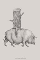 Pig with stump